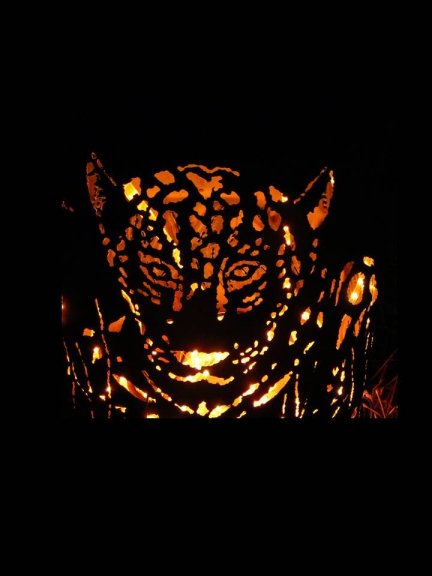 leo 1